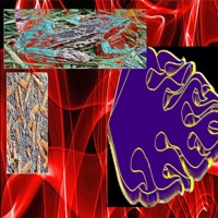 SLAVIC FROG VAPOR (feat. Yungbert) - Single - James Gorczyca