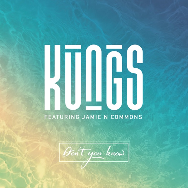 Don't You Know (DJ Licious Remix) [feat. Jamie N Commons] - Single - Kungs