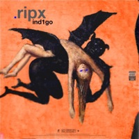 RIPX - Single - IND1GO