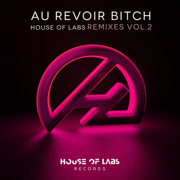 Au Revoir Bitch (Remixes, Vol. 2) - EP