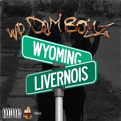 We Dem Boyz - Single