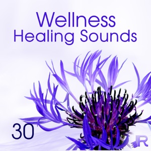 Wellness Healing Sounds: 30 Pure and Relaxing Music, Inner Peace, The Best of Spa, Sleep and Massage, Serenity Sounds
