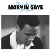 Marvin Gaye - Pride and Joy