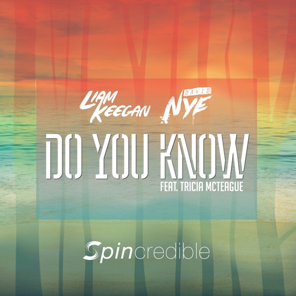 Do You Know (feat. David Nye & Tricia McTeague) - EP