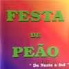 Festa de Peão de Norte a Sul