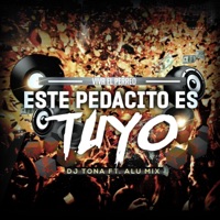 Este Pedacito Es Tuyo (feat. Alu Mix) - Single - DJ Tona