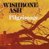 Wishbone Ash - The Pilgrim artwork