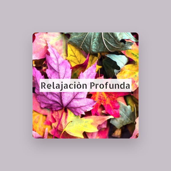 Meditar Profundamente's avatar
