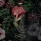 Yoox - Yuman lyrics