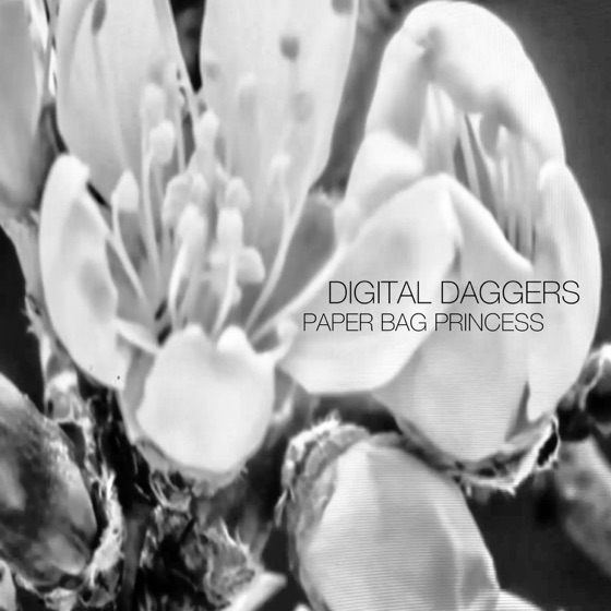 Cover artwork for Paper Bag Princess