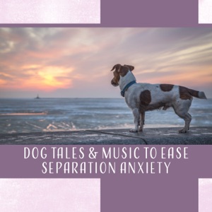 Dog Tales & Music to Ease Separation Anxiety