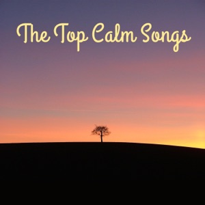The Top Calm Songs: Relaxation, Meditation, Feel Inner Peace, Bliss & Serenity