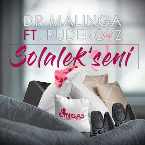 Cover artwork for Solalek'Seni (feat. RudeBoyz)