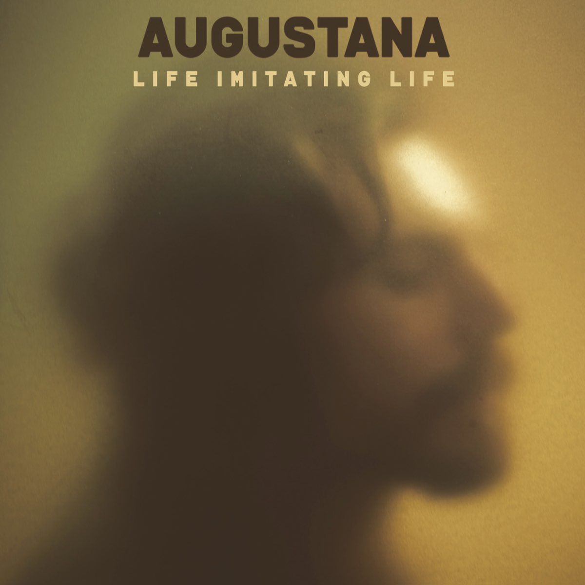 Life imitates life quannnic. Life imitates Life. Life imitates Life quannnic обложка. Confession Augustana. Augustana 2008 - can't Love, can't hurt.