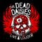 American Band - The Dead Daisies lyrics
