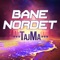 Tajma (Taj Mahal) (Juls Remixed Version) - Bane Nordet lyrics