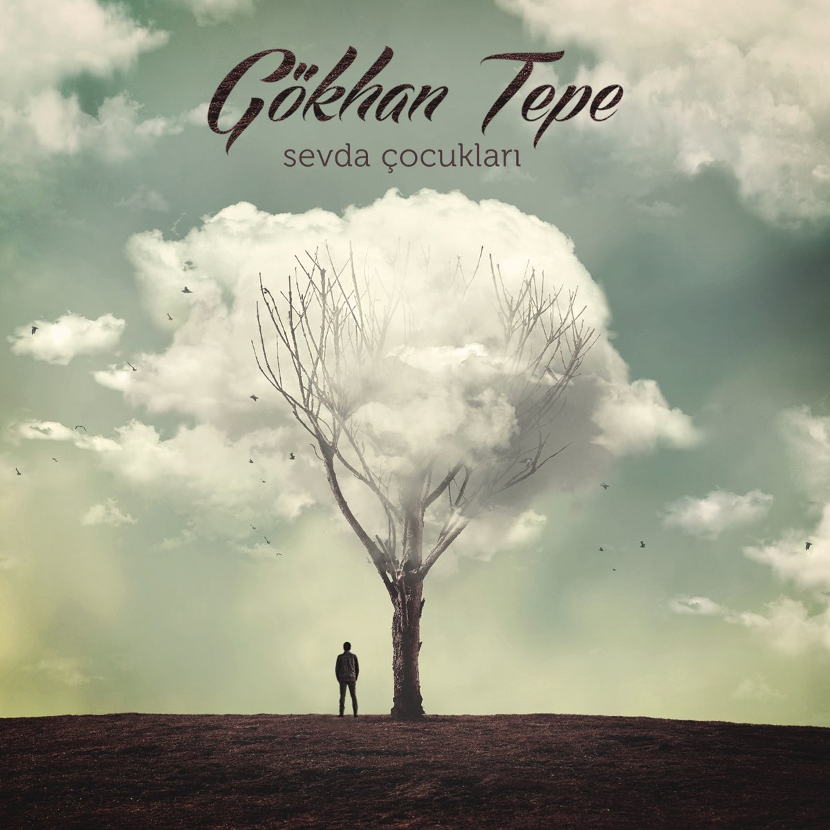 Sevda Çocukları - Single - Album by Gökhan Tepe - Apple Music