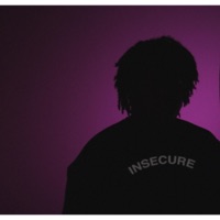Insecure - Grizzly