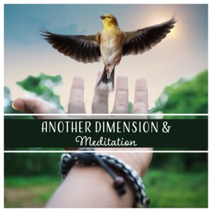 Another Dimension & Meditation - Healing Music for Mindfulness, Lucid Dreaming, Astral Travel, Out of Body Experience, Relaxation