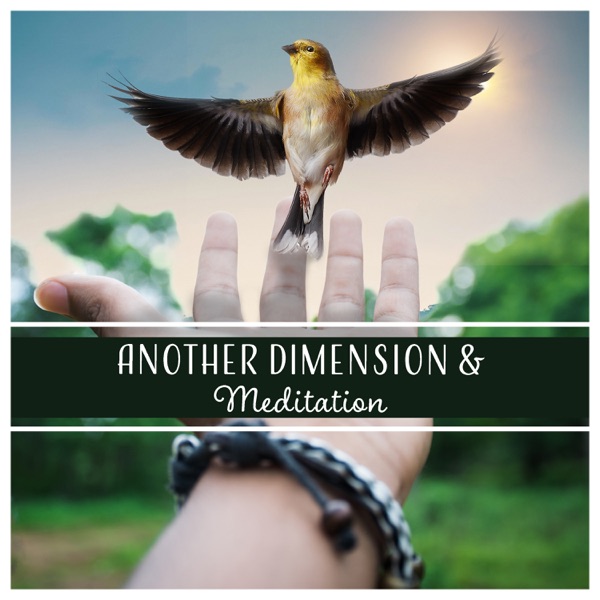 Another Dimension & Meditation - Healing Music for Mindfulness, Lucid Dreaming, Astral Travel, Out of Body Experience, Relaxation