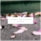 In Case It Might Be Love - NIU RAZA lyrics