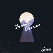 Terem - Stream of Learning