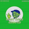 Mary Goes Around - Single