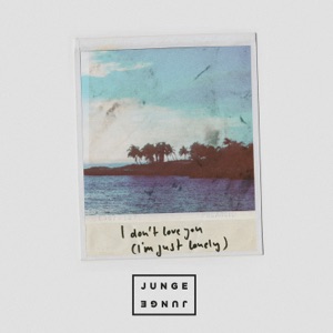 Junge Junge - I Don't Love You (I'm Just Lonely) - Line Dance Musique
