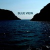 Blue View