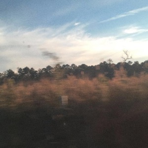 Like Autumn (feat. Powfu) - Single