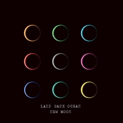 LAID BACK OCEAN - Crazy Crazy