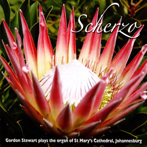 Scherzo - Gordon Stewart plays the organ of St Mary’s Cathedral, Johannesburg