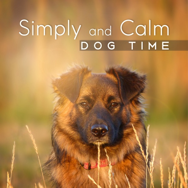 Simply and Calm Dog Time: Relaxing Therapy to Find Inner Peace, Sounds for Canine Comfort, Best Soothing and Happiness Inducing