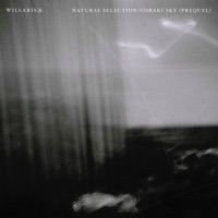 Natural Selection / Cobaki Sky (Prequel) - Single - Willaris. K