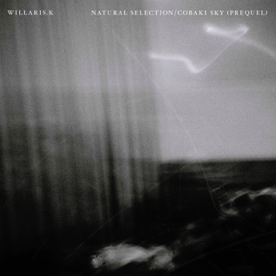 Natural Selection / Cobaki Sky (Prequel) - Single