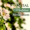 Essential Mindfulness Meditation - Ludovico Piano & Piano Girls lyrics