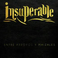 Entre Arroyos y Maizales - Single - Grupo Insuperable