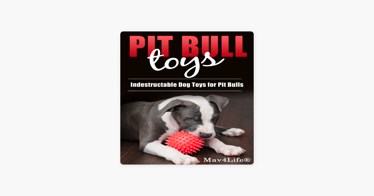 Pit Bull Toys Indestructible Dog