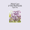 Nature Boy (Edit) - Nick Cave & The Bad Seeds