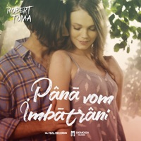 Pana Vom Imbatrani - Single - Robert Toma