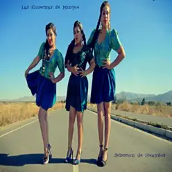 Selección de Huayños - EP - Las Florecitas De Mizque