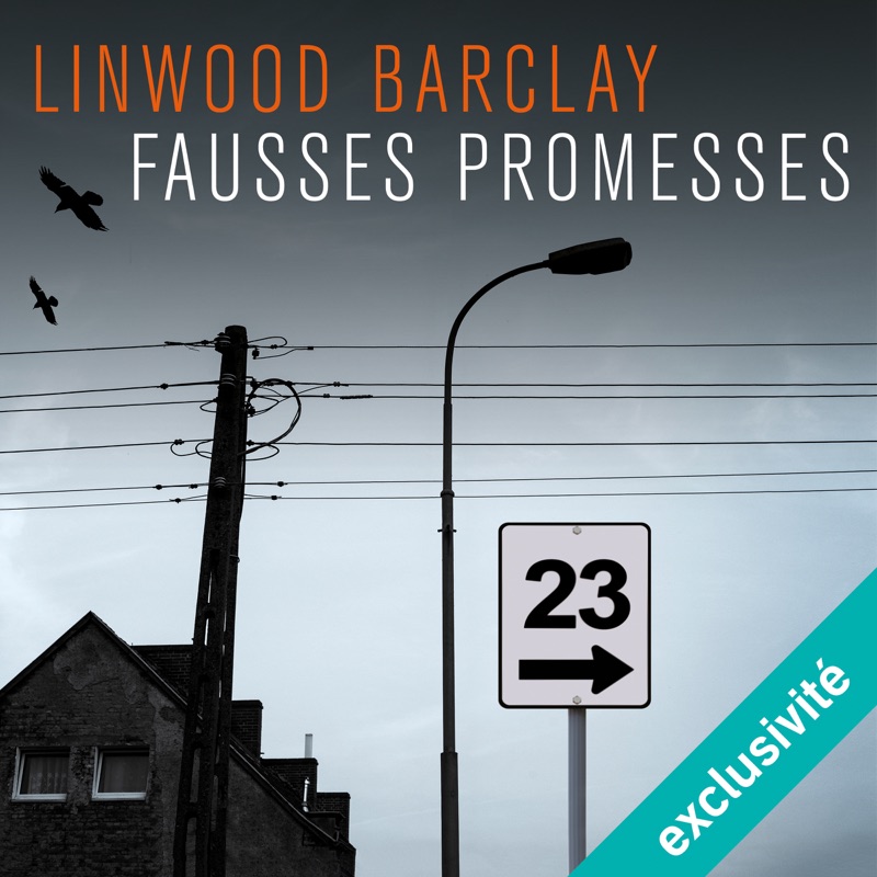Fausses promesses (Promise Falls 1)