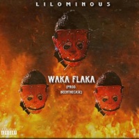 Waka Flaka - Single - Lil Ominous