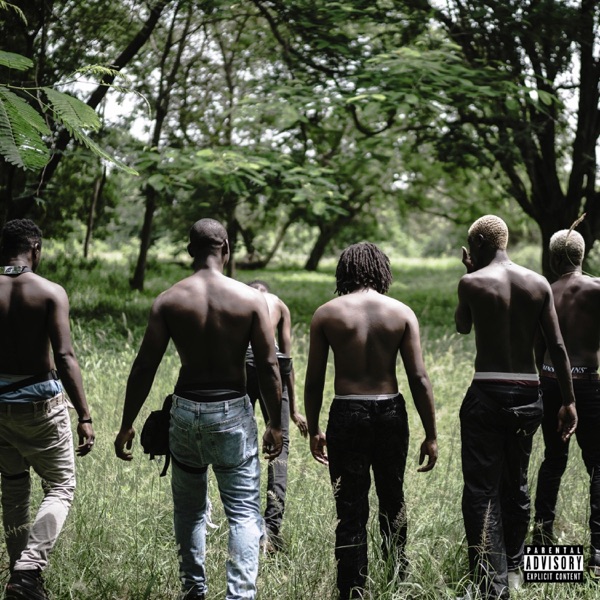 Stone Island (feat. Darkovibes, RJZ & Kiddblack)