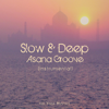 Slow & Deep Asana Groove (Instrumental) - The Yoga Mystics