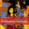 Rough Guide to Psychedelic Cambodia, 2014