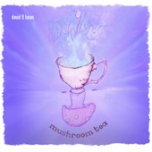 David 9 Lunas - Mushroom Tea