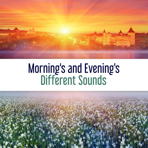 Morning's and Evening's Different Sounds: 60 Experience of Relaxation and Quiet Nature, A Surge of Positive Energy