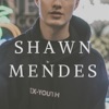 Shawn Mendes - Single