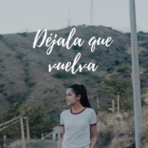 Déjala que vuelva - Single